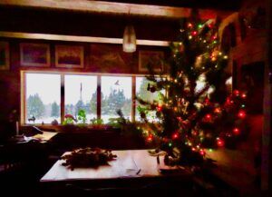 solstice tree. (Winter comes (or tries to.))