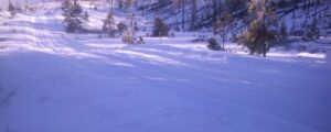 bit more snow feb 24 (The Non-Winter – Almost.)