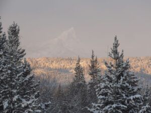 ghostly FP (The Non-Winter – Almost.)