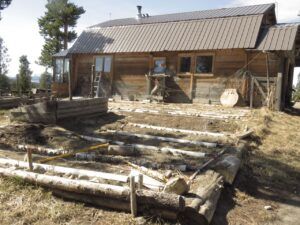 septic 1 (Hip Replacement of a Wilderness Dweller.)